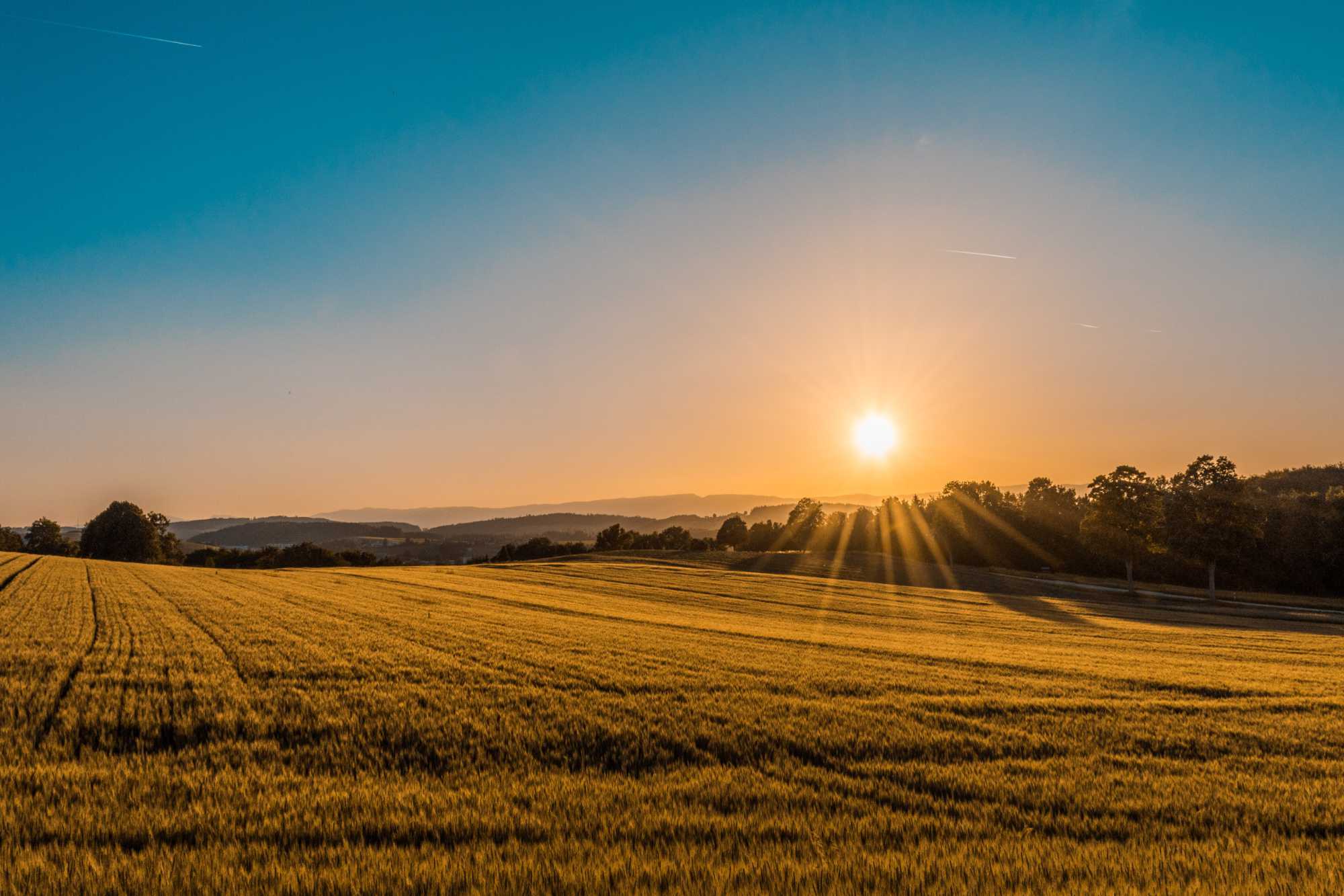 Beautiful sunrise over a field