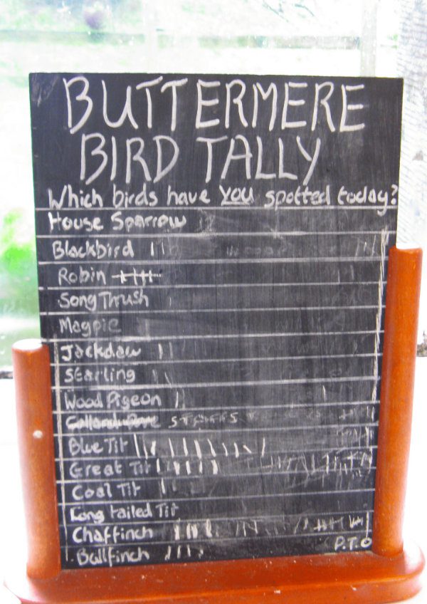 YHA Buttermere bird tally board
