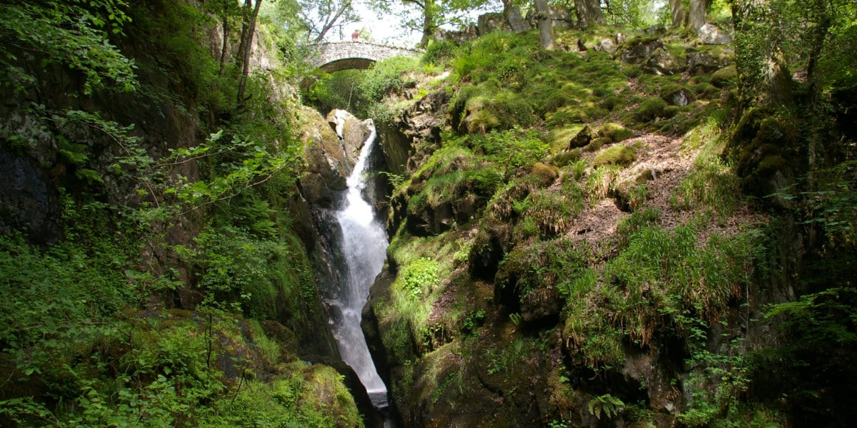 Falls of Aira forice