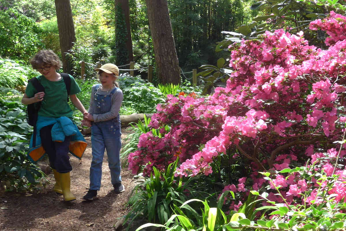 two children walking in a woodland