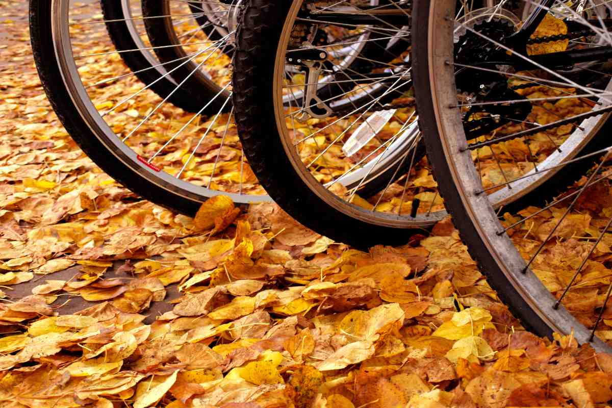 Bikes in the autumn leaves in Cambridge UK