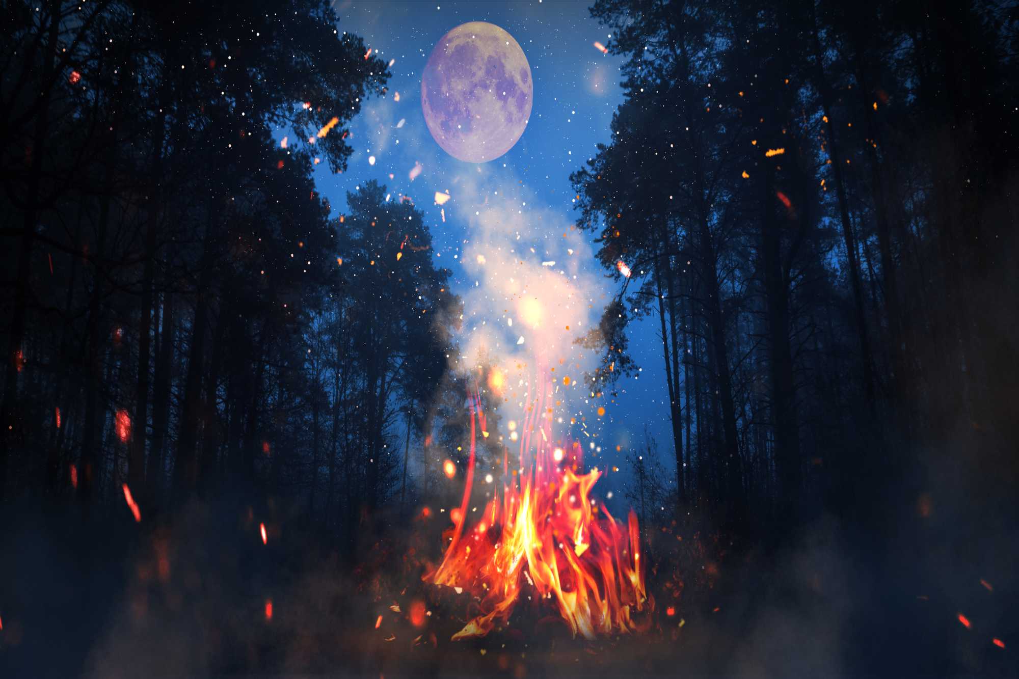 Bonfire in a forest at night time