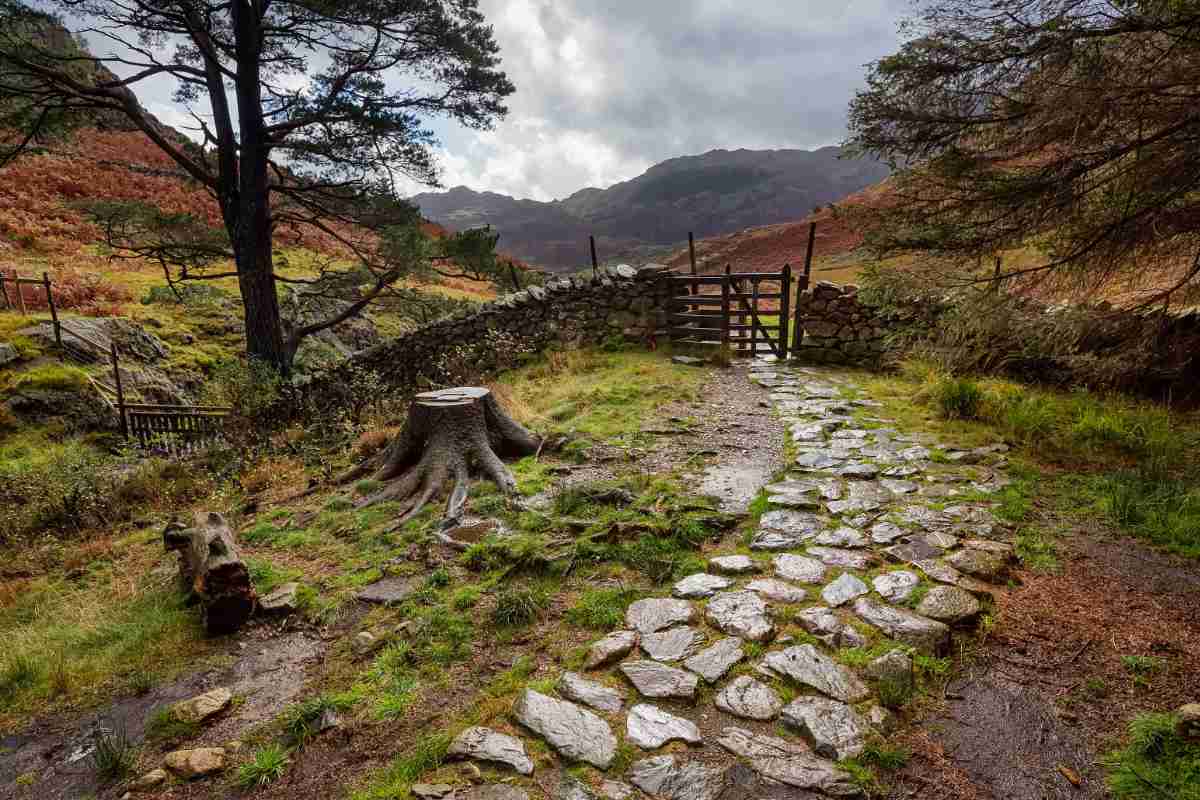 Stony Path in the Lake District