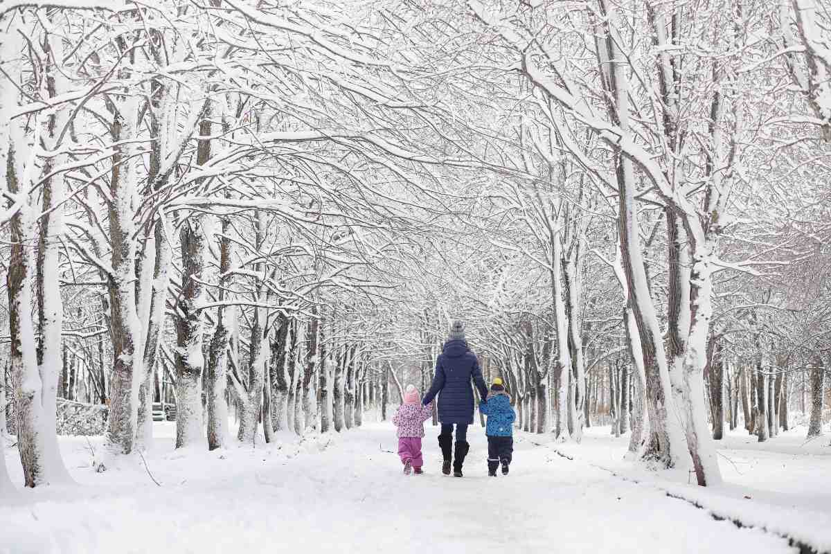 Snow-covered winter park