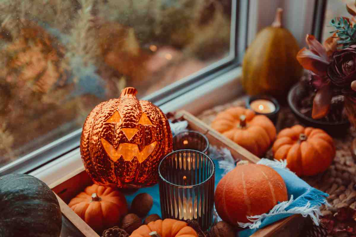 Halloween decorations in windowsill 