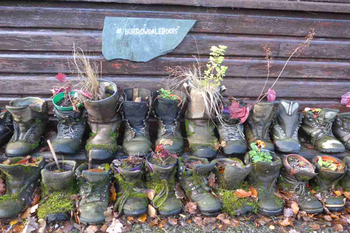 Boots with plants growing out of them