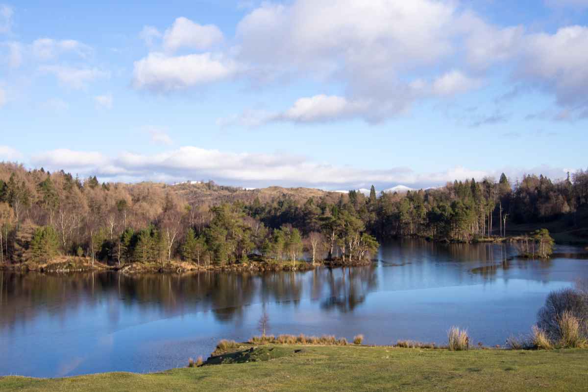 Tarn Hows in the Lake District, on a sunny and cold winter day