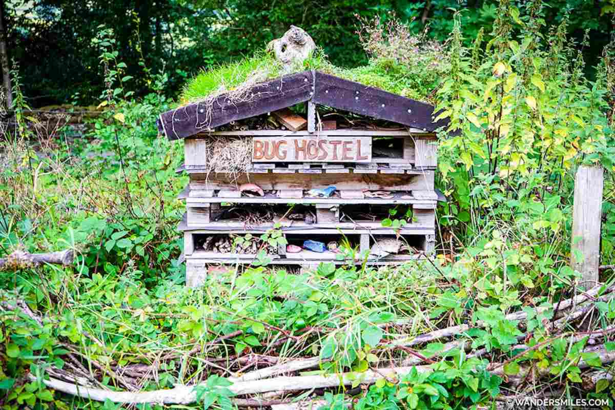 YHA Hawkshead bug hostel