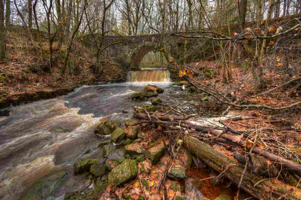 Stream running under a bridge in the forest