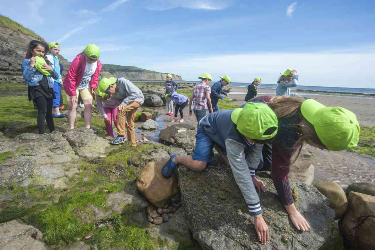 A group of children rockpooling