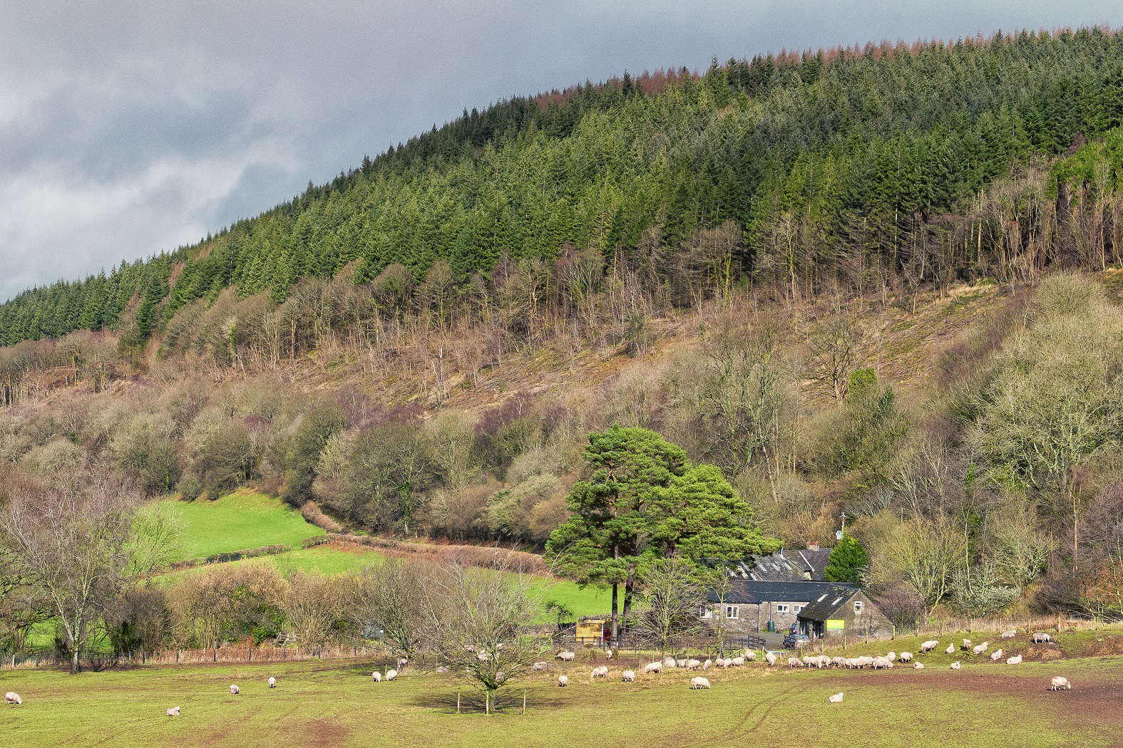 Solar panels and biomass boilers: how green is YHA? | LiveMore YHA