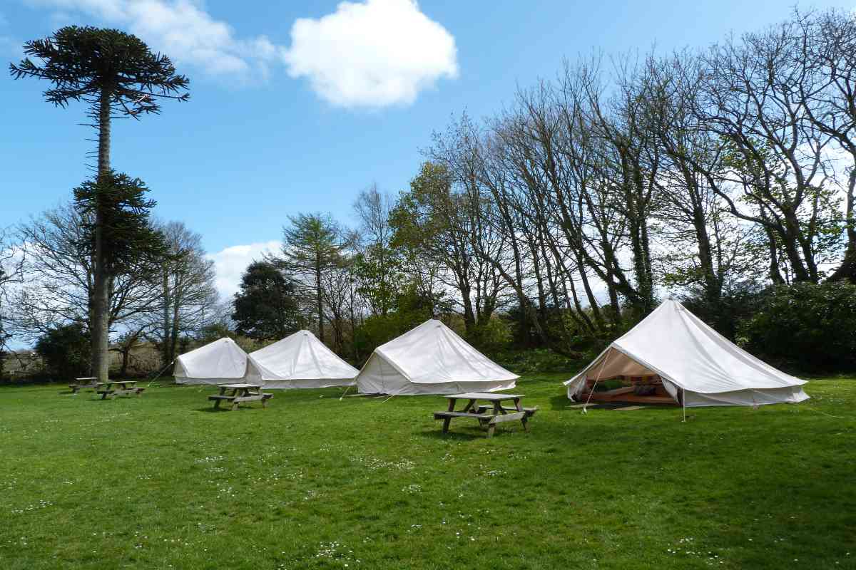 Four bell tents at YHA Penzance
